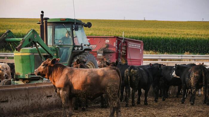 What Can We Do About The Agrarian Collapse?