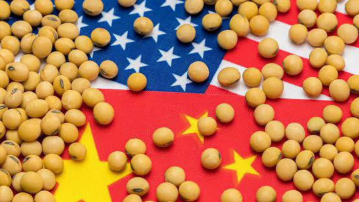 China’s Purchases Of US Soybeans Abruptly Stops China’s Purchases Of US Soybeans Abruptly Stops