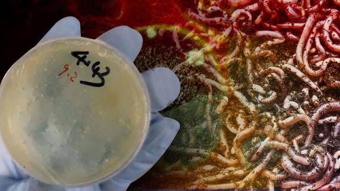 3 More Chinese Researchers Charged With Smuggling Biological Materials Into US 3 More Chinese Researchers Charged With Smuggling Biological Materials Into US