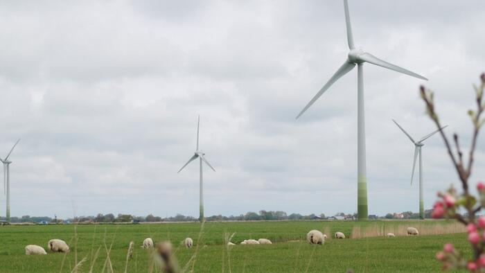 Most Germans Oppose Combustion Engine Bans And Meat Reduction Measures To Save The Planet Most Germans Oppose Combustion Engine Bans And Meat Reduction Measures To Save The Planet
