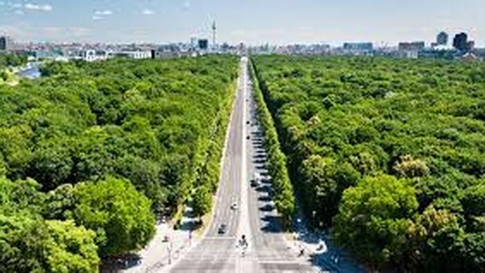 Berlin’s 560,000-Tree Gamble: Climate Idealism Vs Economic Reality Berlin’s 560,000-Tree Gamble: Climate Idealism Vs Economic Reality