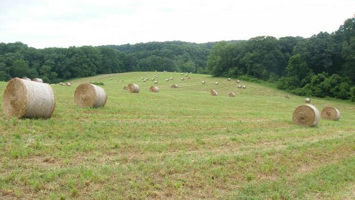 New MAGA Weapon: ‘Fight Tanks’ For Rural America New MAGA Weapon: ‘Fight Tanks’ For Rural America