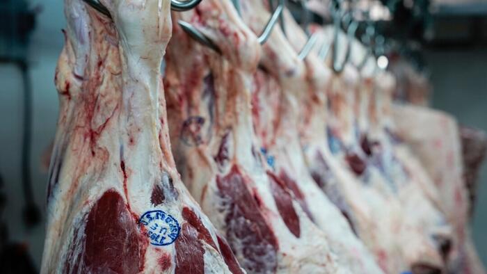 The Problem Of The Meatpackers The Problem Of The Meatpackers