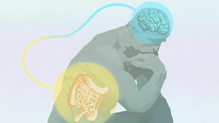 The Mystery Of Intuition: Where Gut Feelings Really Come From The Mystery Of Intuition: Where Gut Feelings Really Come From