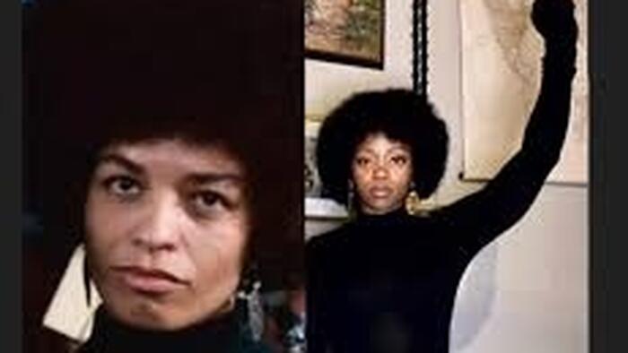 MSU Under Fire For Radical Teacher Training Materials On Race And Capitalism MSU Under Fire For Radical Teacher Training Materials On Race And Capitalism