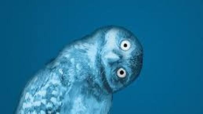 "There's No Emergency Here": Blue Owl CEO Says As Private Credit Provider Abandons Merger Plan