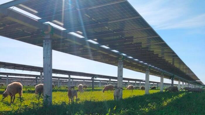 zerohedge.com - Tyler Durden - Oversupply Warning Jolts India's Solar Buildout