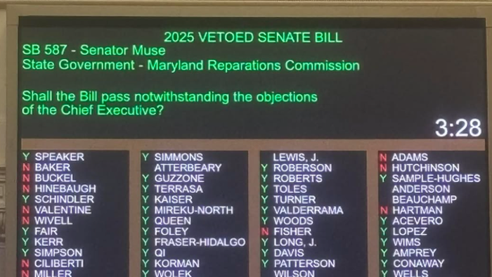 One-Party-Rule Maryland Democrats Ignore Power Bill Crisis, Push Ahead With Slavery Reparations Study