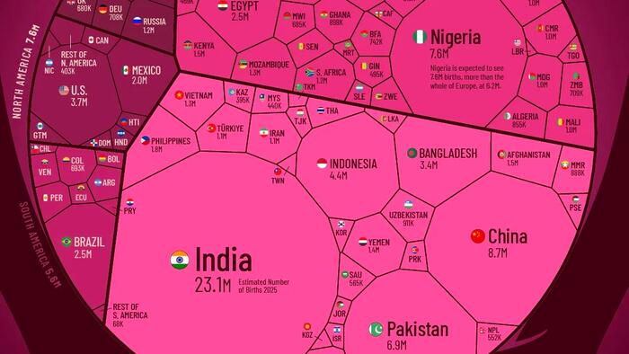 All Of The World’s Births In 2025 In One Giant Chart