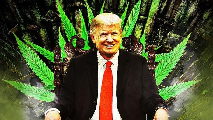 Ron Paul Praises Trump Taking A Step Toward Liberty