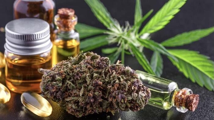 zerohedge.com - Tyler Durden - Trump Poised To Greatly Ease Federal Marijuana Regulation