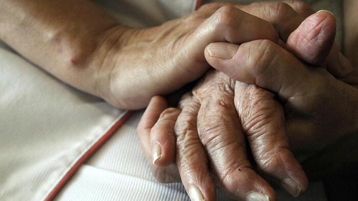 Researchers Successfully Reverse Alzheimer’s In Mice: Peer-Reviewed Study