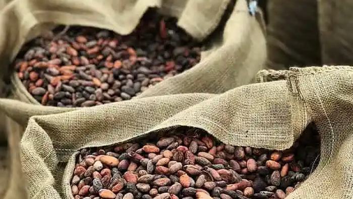 Cocoa Prices Set For Worst Monthly Drop On Record As Demand Craters
