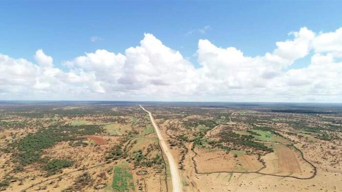 Somalia And The High Cost Of Low Trust