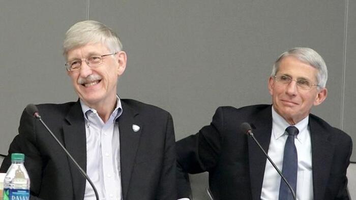 Fauci & Collins Brushed Off 'Impressive' Data For COVID Natural Immunity