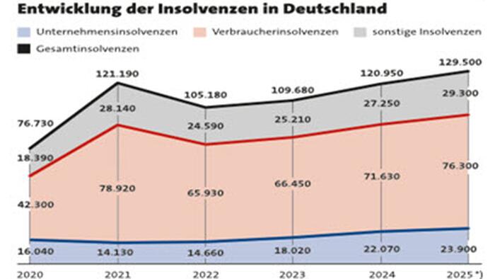 Germany’s Banking Sector Faces Growing Crisis Amid Record Insolvencies