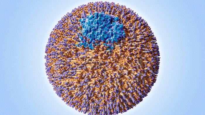 Your Cholesterol May Look Normal… But This Hidden Particle Could Still Be Raising Your Heart Risk