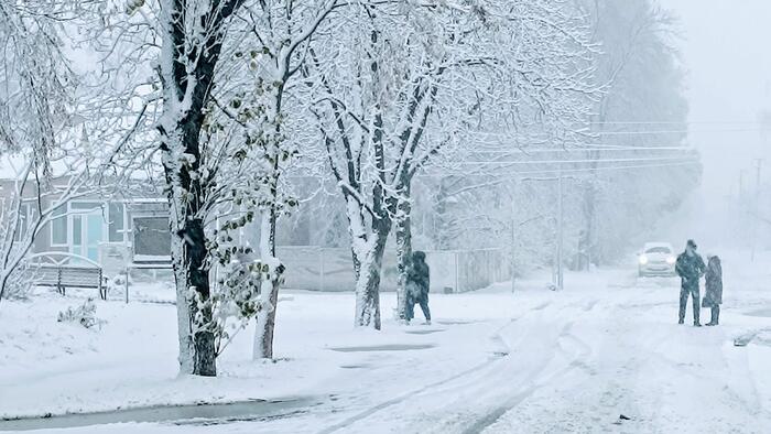 zerohedge.com - Tyler Durden - Winter Storm Fern Proved Coal Is Still the Power Grid's Reliable Backbone