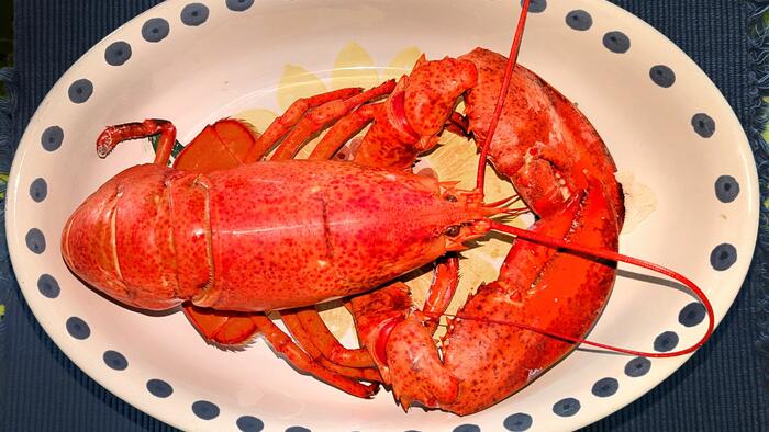 Waste Of The Day: Principal Bought Lobster With School Funds
