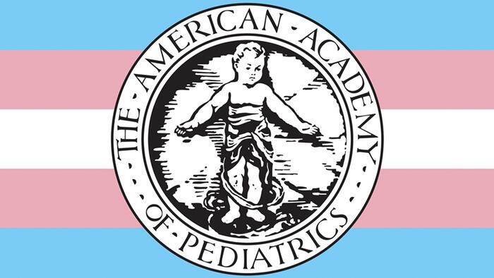 The FTC is probing the American Academy of Pediatrics and World Professional Association of Transgen...
