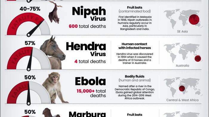These Are The World's 10 Deadliest Viruses