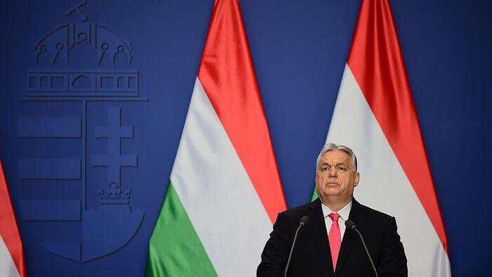 German Court Orders X To Hand Over Data To NGOs Searching For Election 'Disinformation Or Foreign Interference'