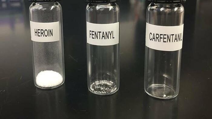 A Montreal Narco Network Busted For Allegedly Smuggling Super Fentanyl Into America