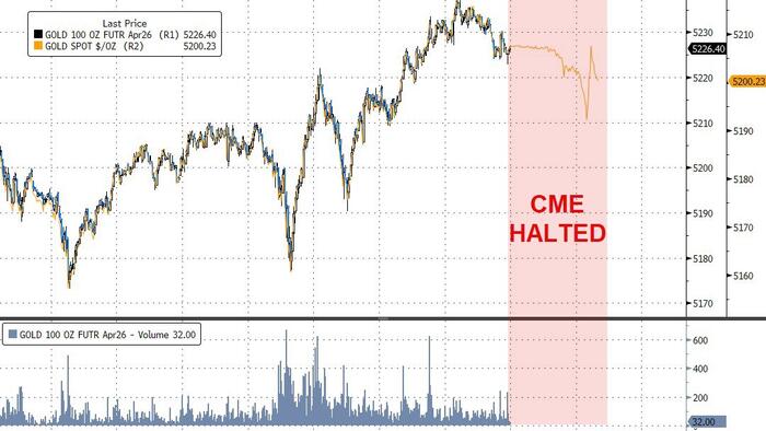 CME Halts All Metals, NatGas Markets Due To Technical Issues