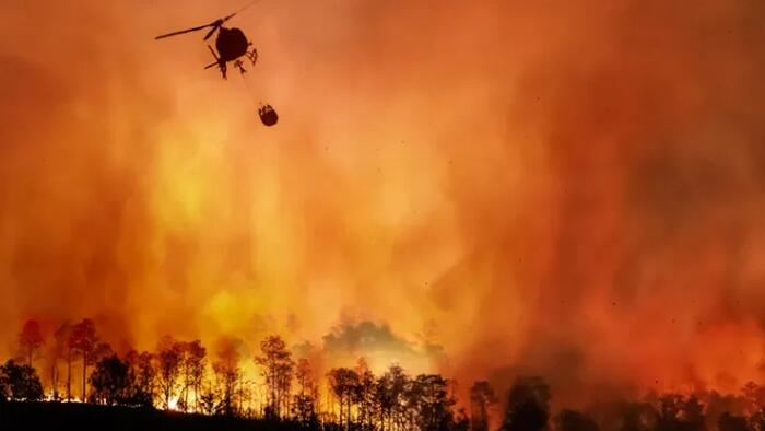 The Idiocracy That Is California Politics