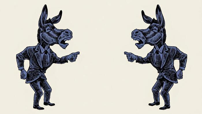 Democrats Slam Democrats For ‘Rigging’ Democrat Primaries