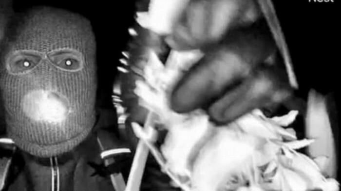 Surveillance Footage Of 'Armed Individual' At Nancy Guthrie's Home Released