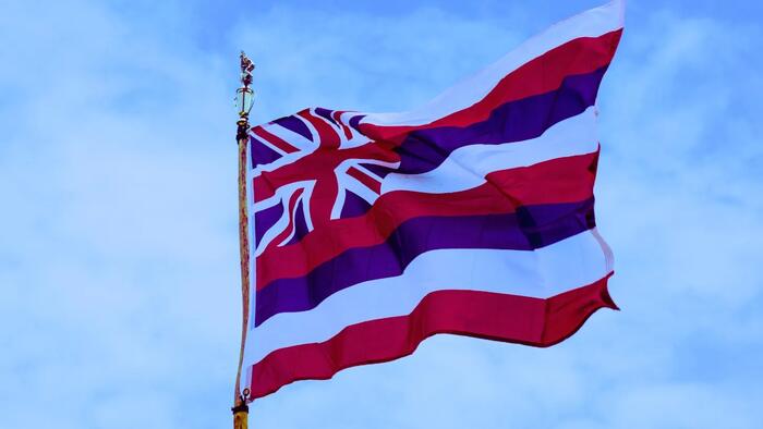 Hawaii Bills Would Allow Gov’t To Quarantine People, Enter Property, Seize Firearms, & Suspend Laws