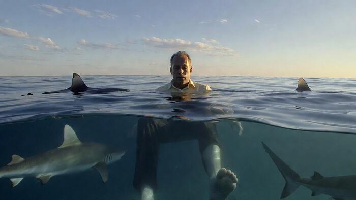 'The Mirage' Of Manufactured Calm And The Disconnect Between Markets And Reality