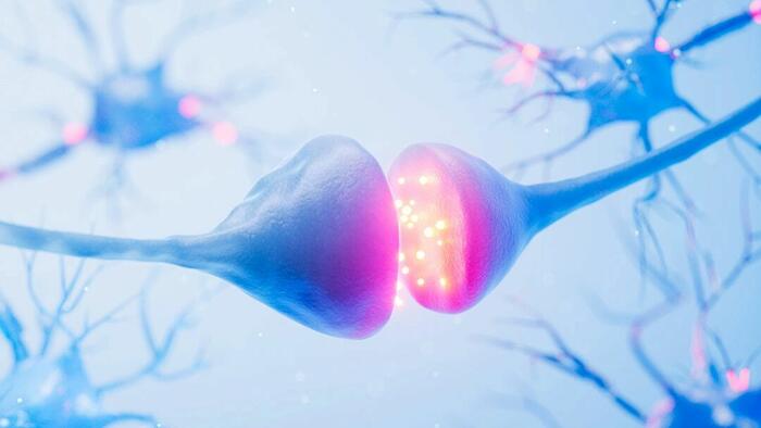 How To Feel Joy In A Dopamine-Saturated World