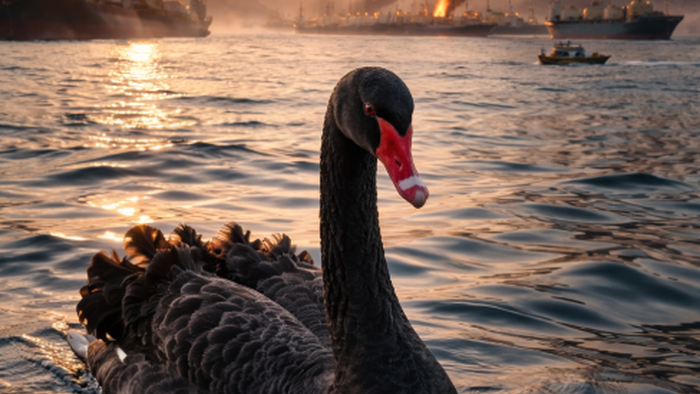 "This Will Bring Down Global Economy": Qatar's Energy Minister Offers Dire Warning About Hormuz Chokepoint Chaos