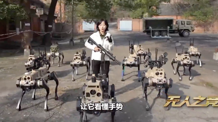 zerohedge.com - Tyler Durden - China Flexes Robot Wolves With Machine Guns And A 'Collective Brain'