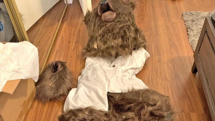 3 LA County Residents Charged In Luxury Car Insurance Scam Involving Bear Suit