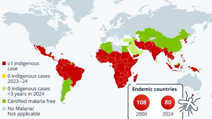 Malaria Is Still Endemic In 80 Countries