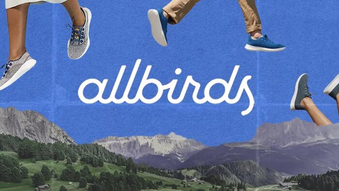 Allbirds to Sell Footwear Assets for $39 Million, Secures $50 Million Financing Amid Planned AI Business Pivot