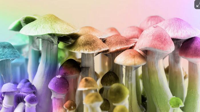 Psychedelic Stocks Just Went Mainstream