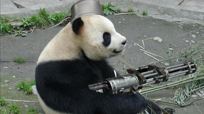 Trump Cryptically References US Intercepted Chinese 'Gift' To Iran