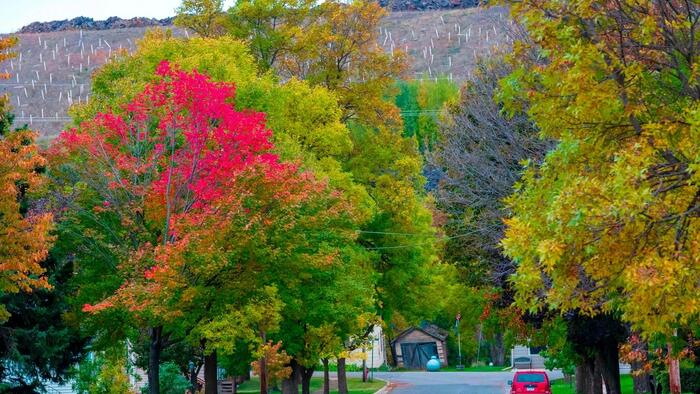 Senate Votes To Repeal Biden-Era Mining Ban In Minnesota, Sending Bill To Trump