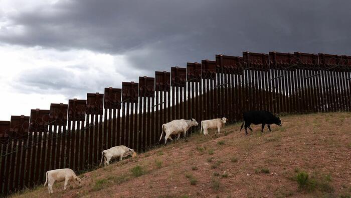 USDA, US Army Break Ground On Texas Facility To Combat Flesh-Eating Parasite Spread