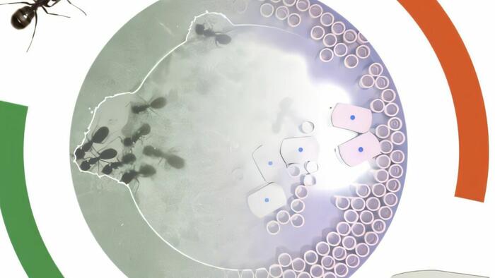 Harvard Creates Robot Ants That Work Like Real Insects To Build And Dismantle Complex Structures