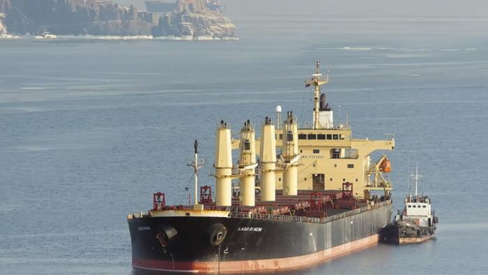 Ukraine Urges Israel To Act Against Russian Ship Carrying 'Stolen' Grain To Haifa Port