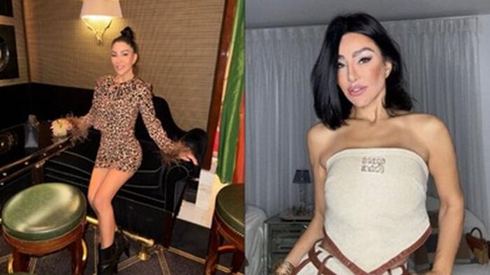 zerohedge.com - Tyler Durden - US Arrests & Boots Soleimani's Fashion Designer Niece From The Country