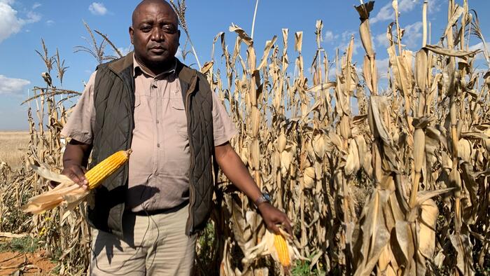 zerohedge.com - Tyler Durden - South African Farming Crisis May Trigger Food Shortages Across The Continent