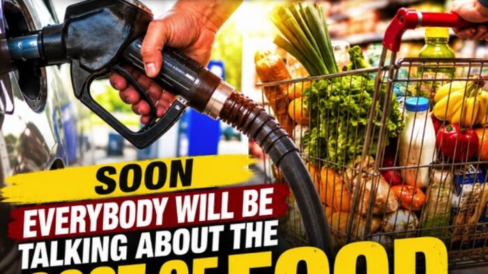 Everyone Talks About The Cost Of Gasoline... Soon Everyone Will Be Talking About The Cost Of Food