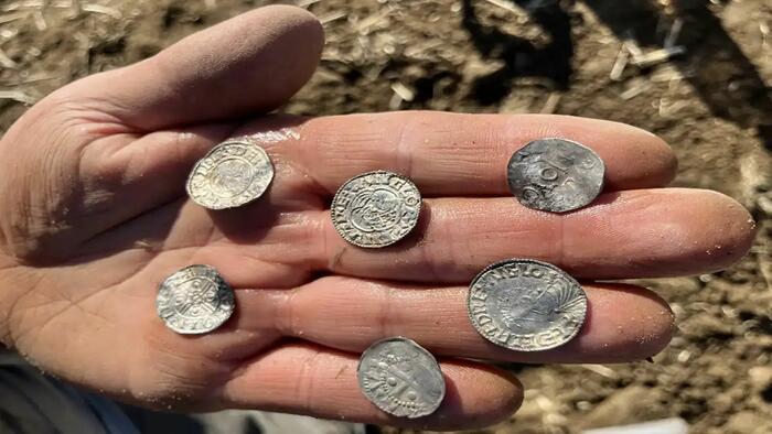 Largest Viking Age Coin Hoard Ever Found In Norway Shocks Archaeologists