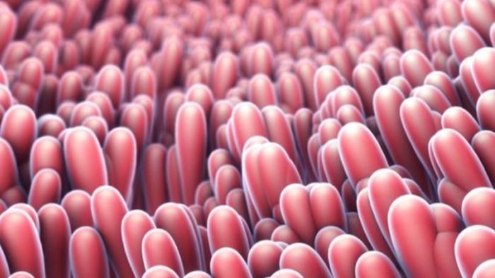 zerohedge.com - Tyler Durden - Abivax Crashes Most On Record After Cancer Cases In Trial Data Spooks Wall Street